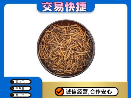 阜新礼品回收虫草.jpg